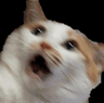 ahhh