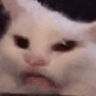 Disgust