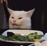 2890_catewww