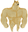 buffdoge