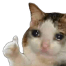 sadcatThumbsUp