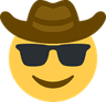 coolsunglassescowboy