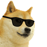 Senpa_doge