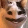 WhyHelloThere