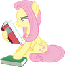 flutter_read