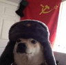 comrade_dogge