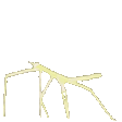 stickbug