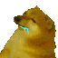 dogestab