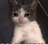 cryingcat