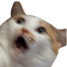 NAOOOO