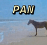 pan