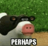PI_Perhaps