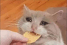 emoji_15