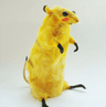 cursedpikachu