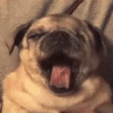 PEWmayayawn