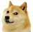 doge