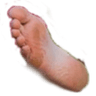 daisyssole1