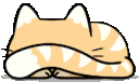 Catpeek