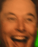 elonn