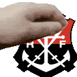 carinhonomengao