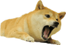 Doge2