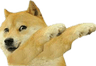 Doge1