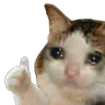 sadcatthumb