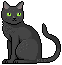 blackcat