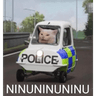 Ninuninuninu