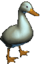 duck_baby
