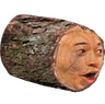 logChamp