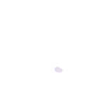 wdrawhrt