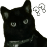 CatWhat