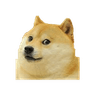 doge2