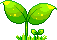 AMplant