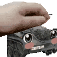 patlfn