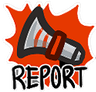 Report