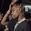 sls_headscratch