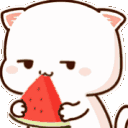 AMcatwatermelonnom