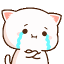 AMcatcry