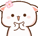 AMcatcute