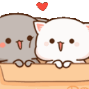 AMcatbox