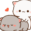 AMcatmassage