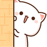AMcatpeek