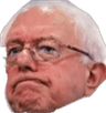 bernie_approved_disappointed