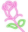 NeonRose