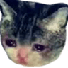 ari