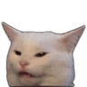 SusCat