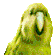 PartyParrot