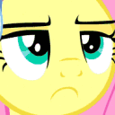 hh_flutterSus